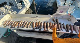 Experience the Ultimate Fishing Adventure with Just Right Florida Charters