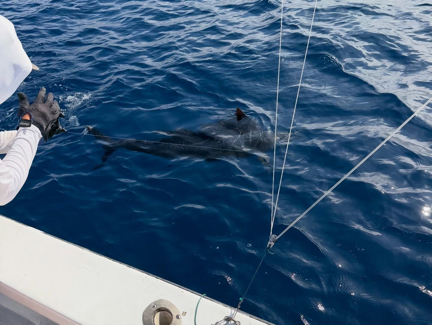 Fishing catch 13