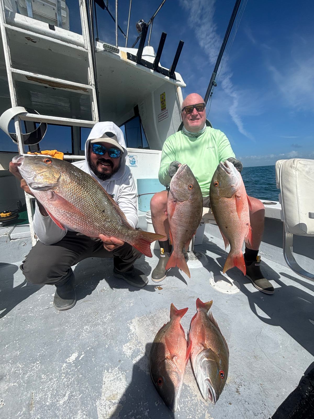 Snapper haul