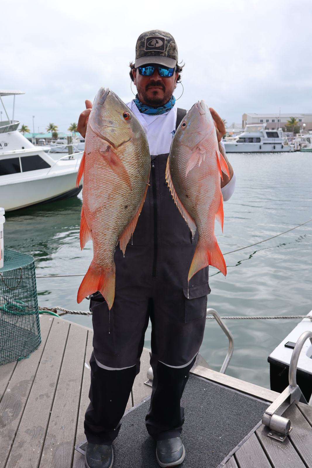 Mutton snapper catch