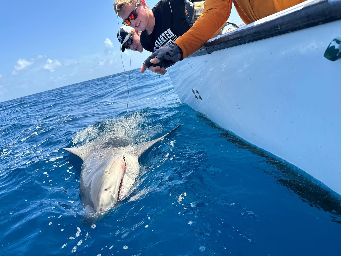 I Got Bit by a Shark—and It Was My Fault